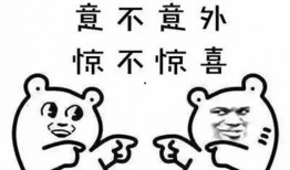 亳州爆料视频最新消息曝光,视频曝光惊人内幕，真相令人震惊！