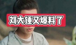 刘大锤周三最新爆料,揭秘娱乐圈最新热点事件