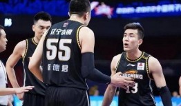 辽宁篮球爆料新闻最新,揭秘最新爆料背后的真相